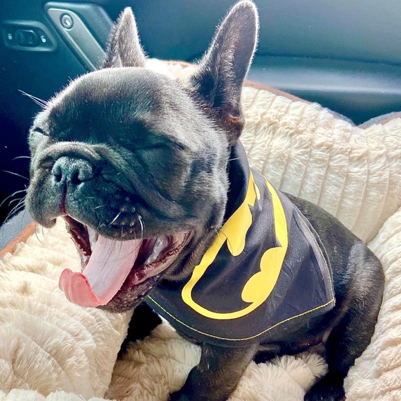 Meet your Posher, Fatima - Picture 1 of 1